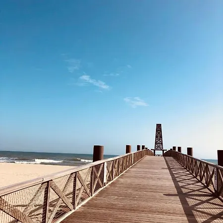 Studio La Capitane Au Port Leucate